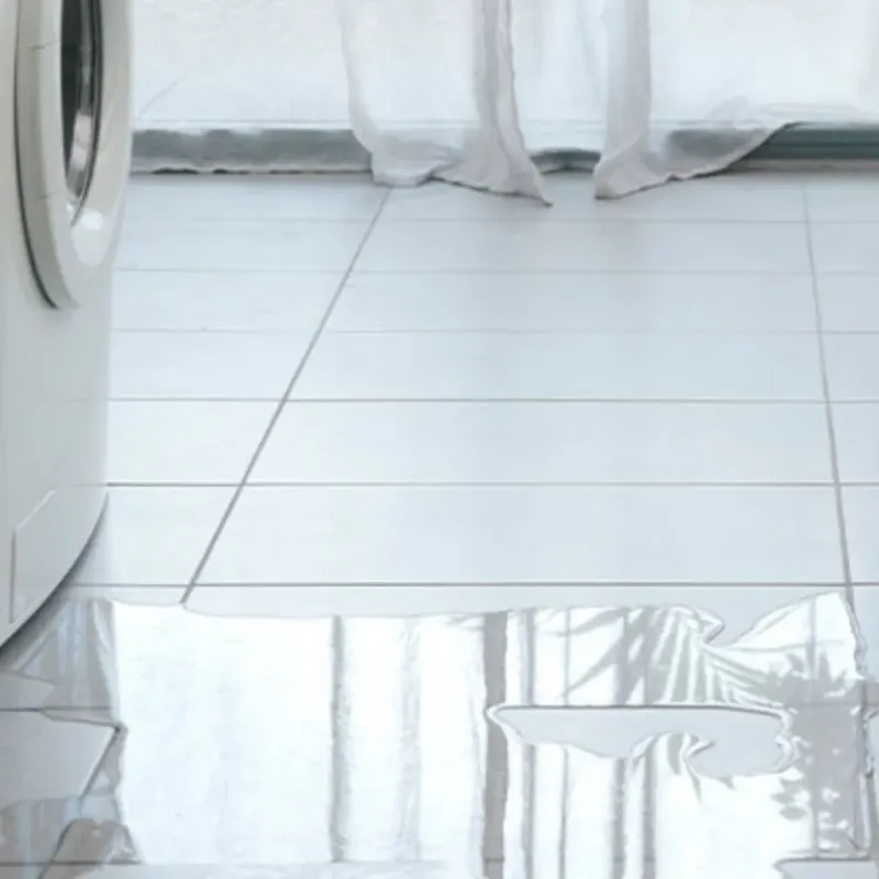 Appliance Leak Cleanup in Rustburg, VA