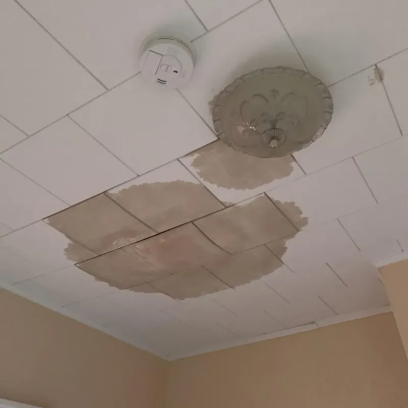 Ceiling Water Damage Repair in Rustburg, VA
