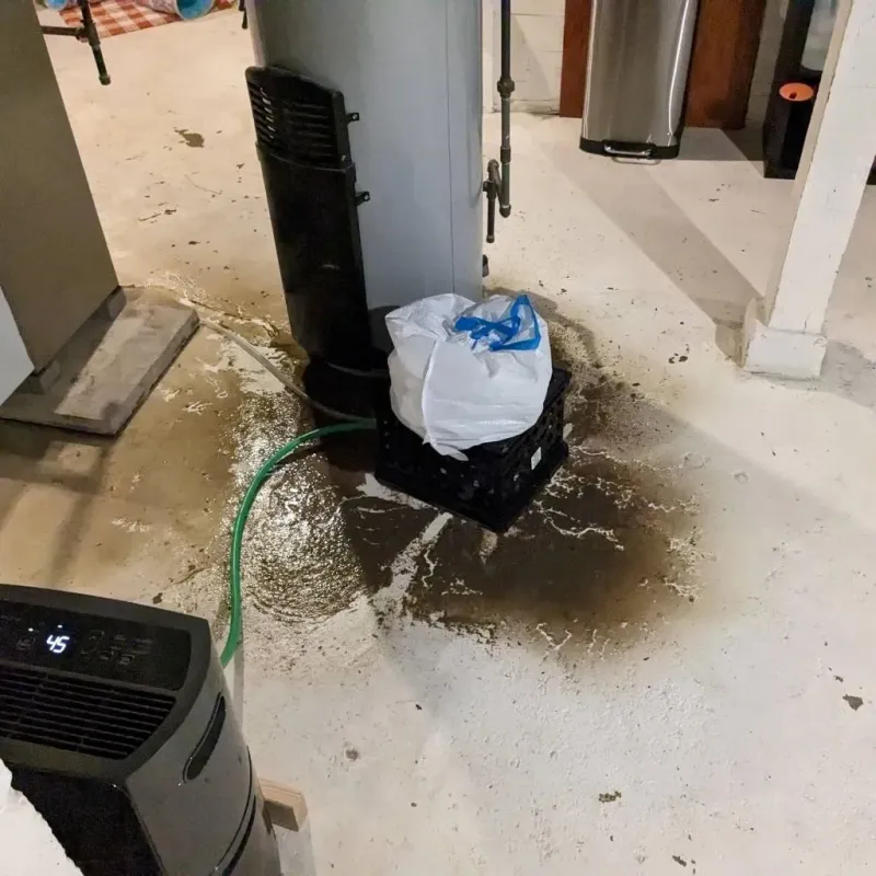 Sewage Backup Cleanup Service in Rustburg, VA